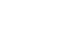 Bendita Coxinha (logo branco)